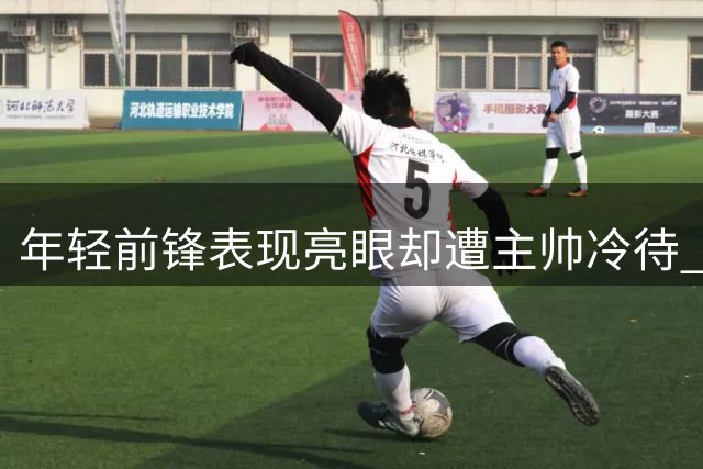 年轻前锋表现亮眼却遭主帅冷待 达拉斯球迷集体鸣不平