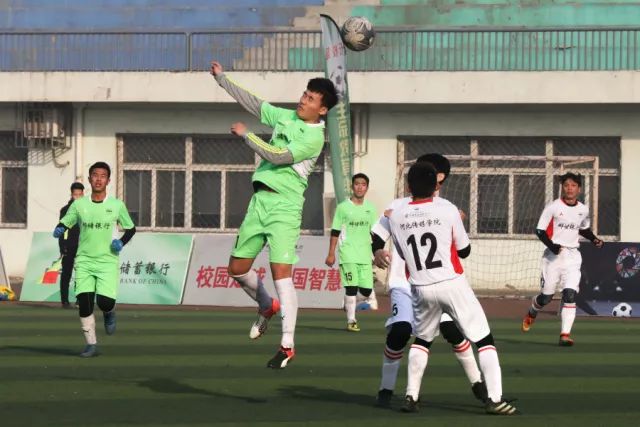 当代青年独处困境：家庭结构选择引发社会热议