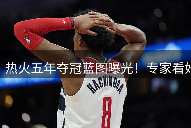 热火五年夺冠蓝图曝光！专家看好字母哥核心阵容潜力巨大