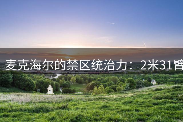 麦克海尔的禁区统治力：2米31臂展打造低位"恐怖秀