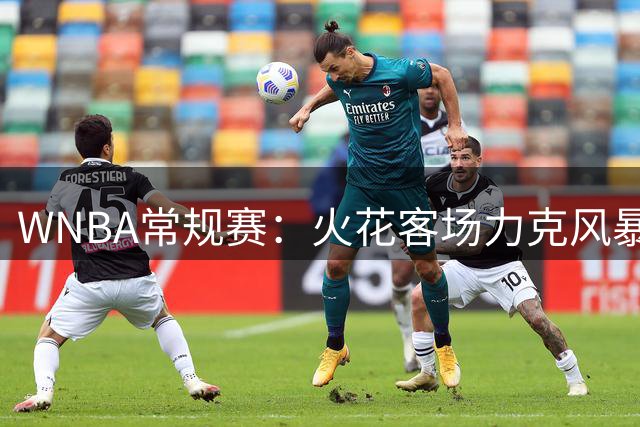 WNBA常规赛：火花客场力克风暴 布林克手感欠佳仍贡献11+6